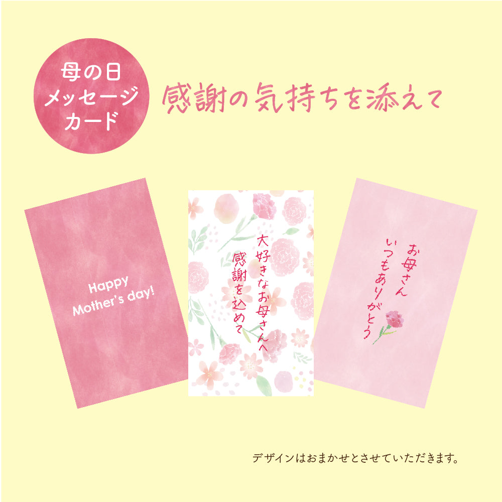 【数量限定/母の日/送料無料】リースフラワーバッグギフト
