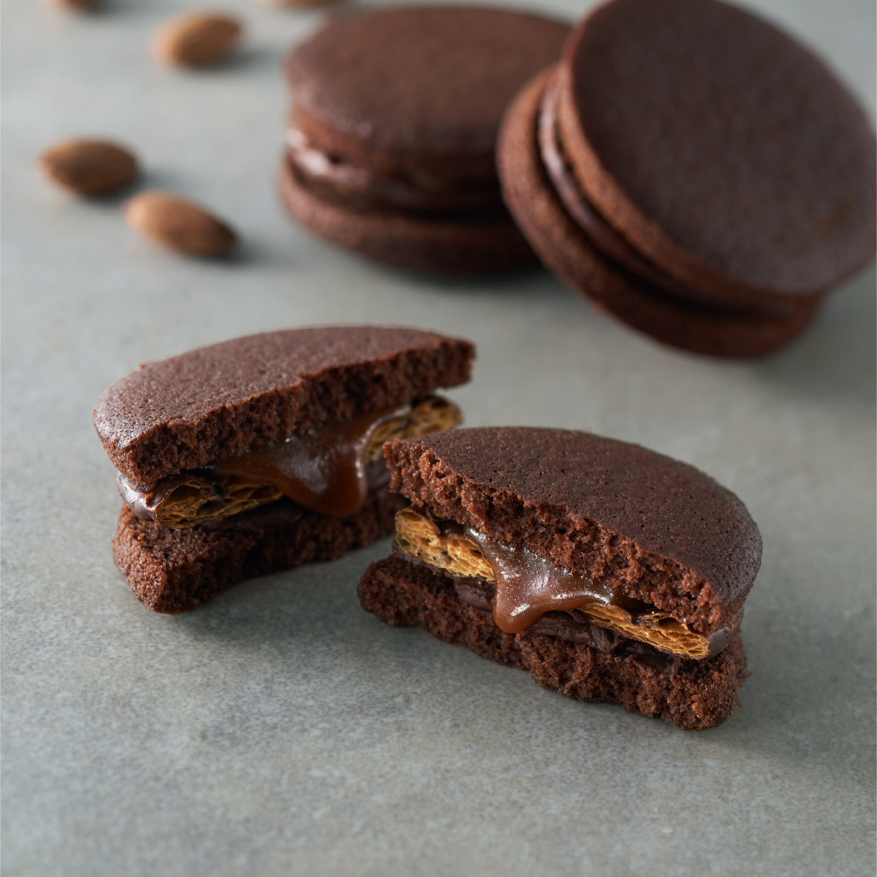 なんばんショコラサンド 12個入(熊本県産和栗・博多あまおう)