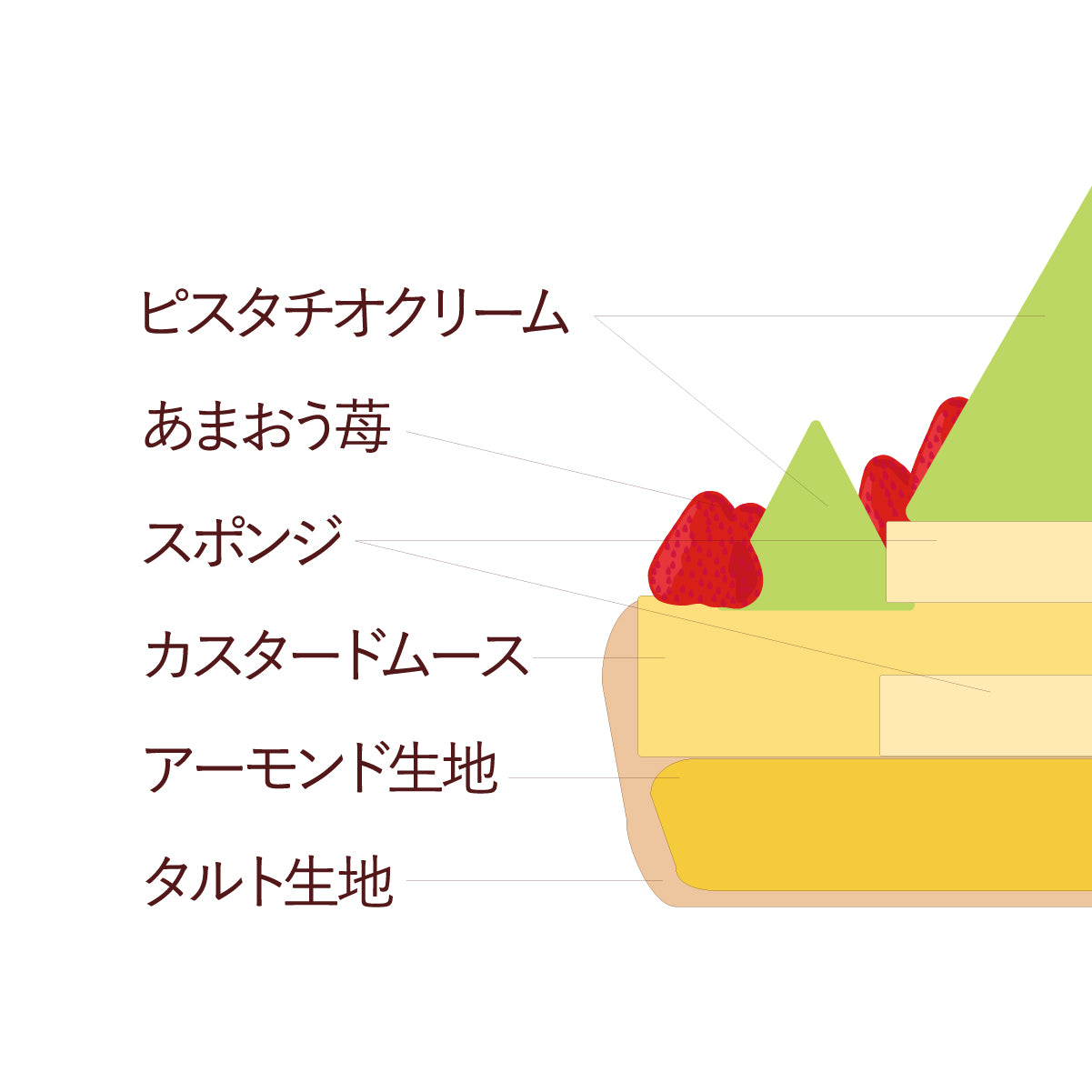 【店舗受け取り】あまおうの森のピスタチオタルト　15cm【早期予約特典付き】